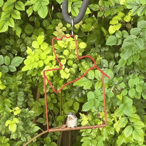 A hummingbird perched on the red bird-shaped Craft Series swing hanging among green leaves