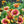 Pop's Birding - Pop's® Perfect Little Sanctuary® Wildflower Seed Blend, Hummingbird & Butterfly, 400mg - Single