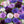 Pop's Birding - Pop's® Perfect Little Sanctuary® Wildflower Seed Blend, Hummingbird & Butterfly, 400mg - Single