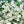 Pop's Birding - Pop's® Perfect Little Sanctuary® Wildflower Seed Blend, Hummingbird & Butterfly, 400mg - Single