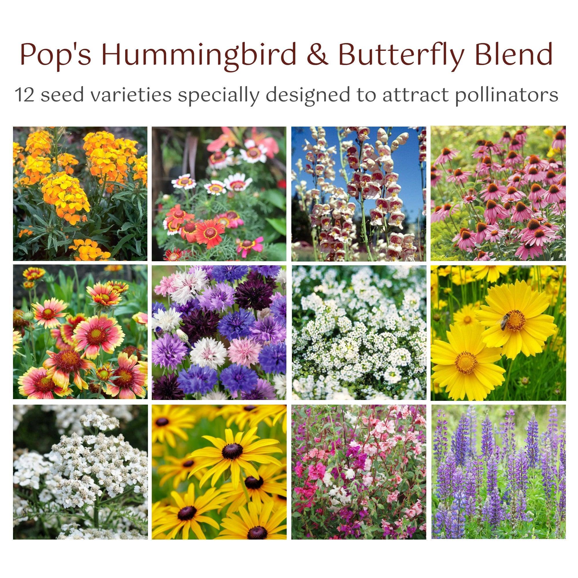 perennial flower seed mix Wildflower Seed, Hummingbird 400mg