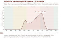 Illinois hummingbird timing chart
