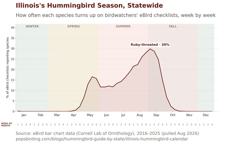 Illinois hummingbird timing chart
