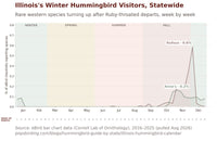 Illinois hummingbird timing chart