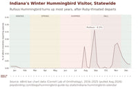 Indiana hummingbird timing chart