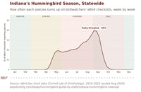 Indiana hummingbird timing chart