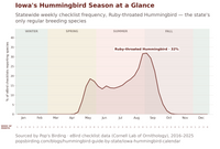 Chart of Ruby-throated Hummingbird seasonal abundance in Iowa, peaking near 32% of eBird checklists in late August and early September hummingbird timing chart