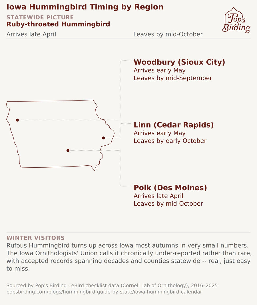 Map of Iowa showing Ruby-throated Hummingbird arrival and departure timing across three regions: Sioux City, Cedar Rapids, and Des Moines hummingbird timing chart