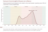 Kansas hummingbird timing chart