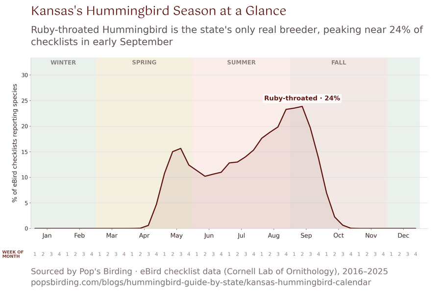 Kansas hummingbird timing chart