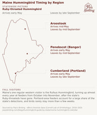 Map of Maine showing Ruby-throated Hummingbird timing by region: Aroostook arrives mid-May and leaves by mid-September; Penobscot County around Bangor arrives early May and leaves by mid-September; Cumberland County around Portland arrives early May and leaves by late September. hummingbird timing chart