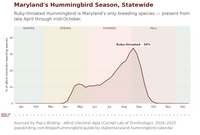 Maryland hummingbird timing chart