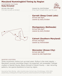 Maryland hummingbird timing chart