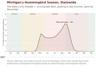 Chart showing Ruby-throated Hummingbird's season in Michigan by week, statewide, 2016-2025. Reports are at zero from January through mid-April, climb steeply through May to about 17% of eBird checklists, hold near 13% through June and July, then rise to a peak of about 26% in the last week of August before falling sharply through September to near zero by mid-October. hummingbird timing chart