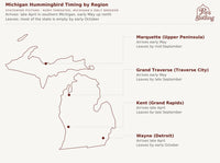 Michigan hummingbird timing chart