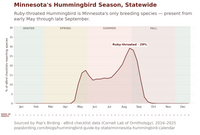 Chart showing Ruby-throated Hummingbird's statewide season in Minnesota, eBird data 2016-2025. Essentially absent through April, arriving the first week of May, climbing through May and June, then building to a peak of 29.2% of checklists in the fourth week of August before a fast decline through September and near-total absence by mid-October. hummingbird timing chart