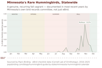 Chart showing Rufous Hummingbird as Minnesota's one genuine, recurring rare species, statewide, eBird data 2016-2025, documented in most of the last ten years by the state's own records committee. Essentially absent through summer, then a real fall signal builds from early October, peaking at 0.2% of checklists in the second week of November, before tapering off through early December. hummingbird timing chart
