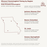 Map showing when hummingbirds arrive and leave in each Missouri region — Jackson (Kansas City), Boone (Columbia), St. Louis, and Greene (Springfield). Ruby-throated Hummingbird is Missouri's only genuine migratory breeder, so timing is driven by the same species everywhere. Arrival is essentially synchronized across all four regions, in the third week of April; departure is where the one real regional difference shows up — Boone County has documented stragglers lingering into December, while the rest of the hummingbird timing chart