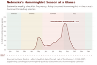 Nebraska's Hummingbird Season at a Glance — line chart of Ruby-throated Hummingbird's weekly checklist frequency statewide, showing a spring passage peak in early May, a summer lull, and the season's main peak in late August before a sharp drop-off by early October. hummingbird timing chart