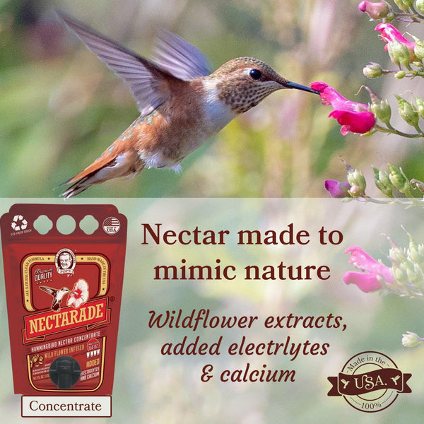 Pop's Birding - Pop's® Nectarade® Hummingbird Nectar, Concentrate - 50.7 oz - Single
