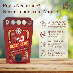 Nectarade® Nectar, Conc. 50.7 oz