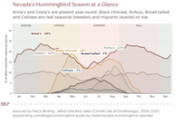 Nevada hummingbird timing chart