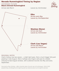 Nevada hummingbird timing chart