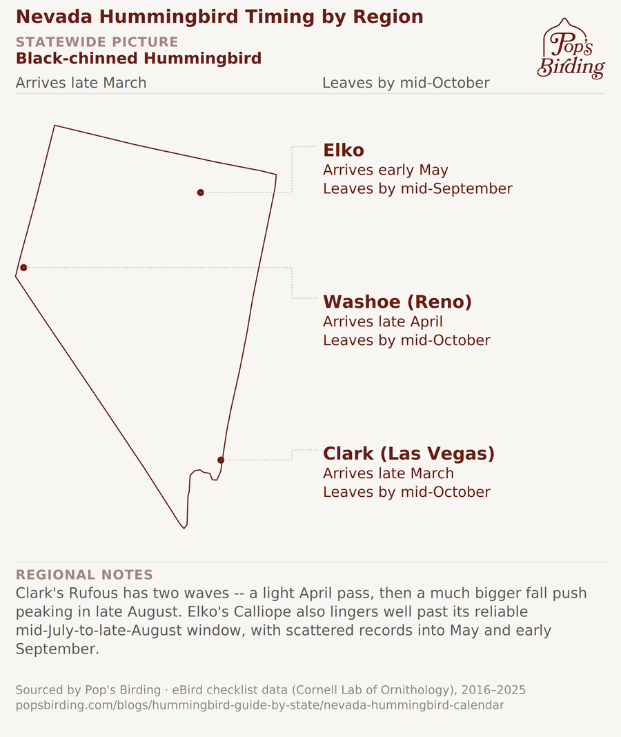 Nevada hummingbird timing chart