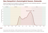Line chart showing Ruby-throated Hummingbird checklist frequency in New Hampshire by week, rising from zero in April to a 29% peak in the third week of August, then falling to zero by mid-October hummingbird timing chart