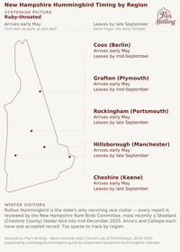 Map of New Hampshire showing Ruby-throated Hummingbird arrival and departure timing by county: Coos and Grafton arrive early May and leave by mid-September; Rockingham, Hillsborough, and Cheshire arrive early May and leave by late September hummingbird timing chart