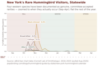 New York hummingbird timing chart