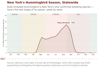 New York hummingbird timing chart