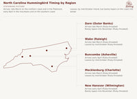 Map of North Carolina showing hummingbird arrival and departure timing by region: Outer Banks and Piedmont counties arrive late March, Asheville and Wilmington arrive early April, and coastal counties taper slowly into November while inland counties leave by mid-October hummingbird timing chart
