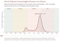 North Dakota hummingbird timing chart