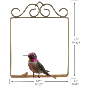 Hummingbird Haven Bundle, Original Swing Bronze
