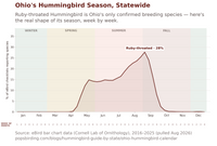 Ohio hummingbird timing chart