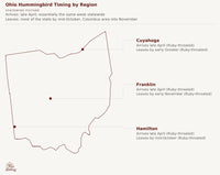 Ohio hummingbird timing chart