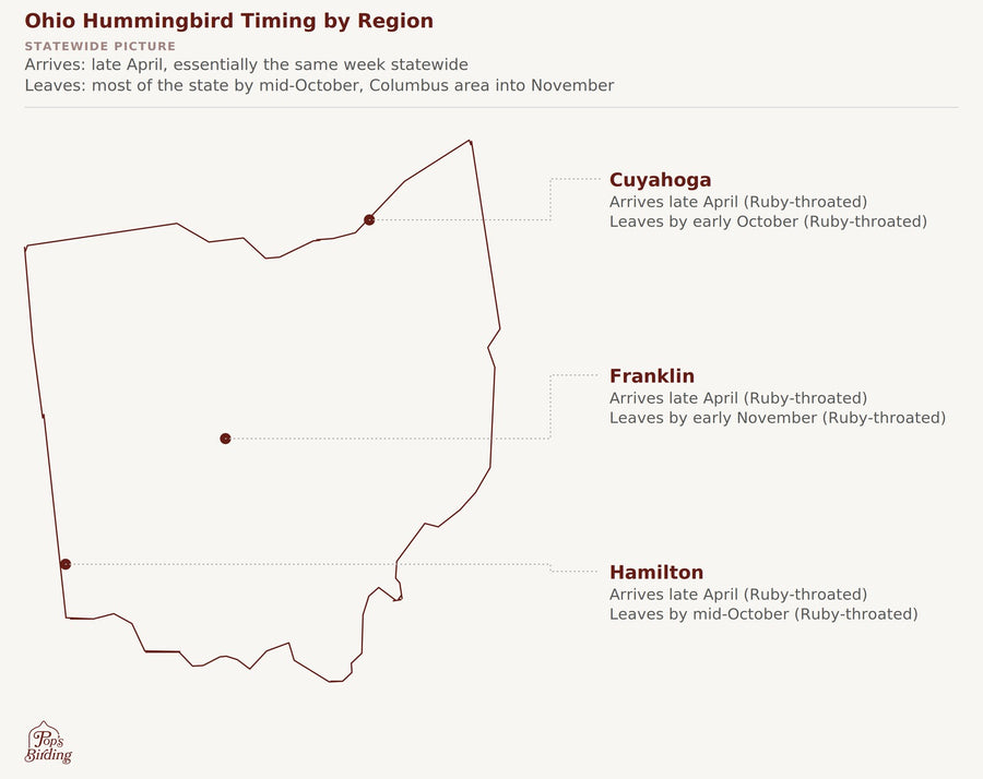 Ohio hummingbird timing chart