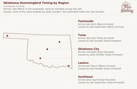 Map showing when hummingbirds arrive and leave in each Oklahoma region — the Panhandle, Tulsa, Oklahoma City, Lawton, and the Southeast. Lawton has the longest season in the state, with Black-chinned Hummingbird arriving in late March and Ruby-throated staying into late October. The Panhandle has the shortest, and is the one region where Black-chinned, not Ruby-throated, drives both ends of the season. hummingbird timing chart