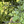 Haven Bundle: Feeder + Swing