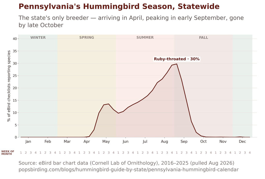 Pennsylvania hummingbird timing chart