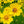 Load image into Gallery viewer, Pop&#39;s Hummingbird &amp; Butterfly Wildflower Seed Mix (Sold by Case)
