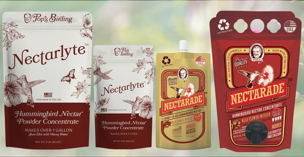 Hummingbird Nectarade hummingbird feeder powder concentrate products by Pop's Birding, shown with a live hummingbird feeding from a pink flower against a blurred garden background, with product pouches and bags displayed below.