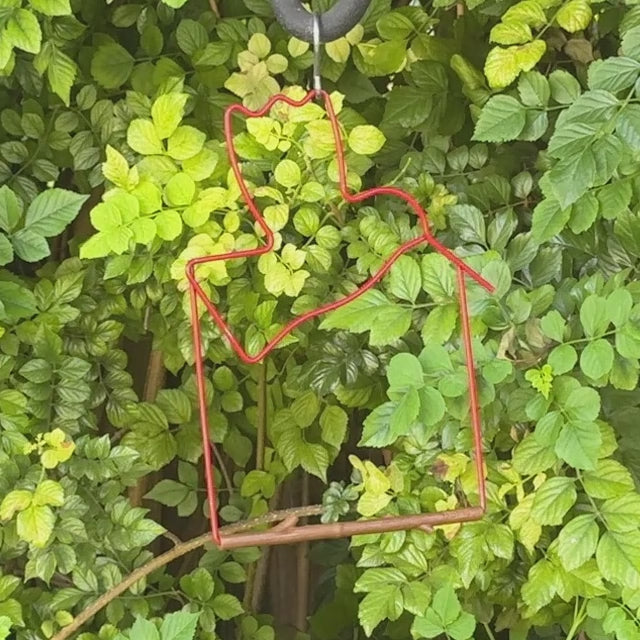 Video: a hummingbird lands on the red bird-shaped Craft Series swing among green leaves