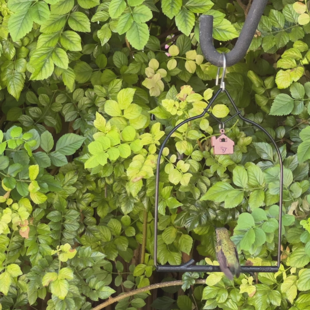 Video: hummingbirds at the Onyx Home Charm swing hanging from a shepherd's hook