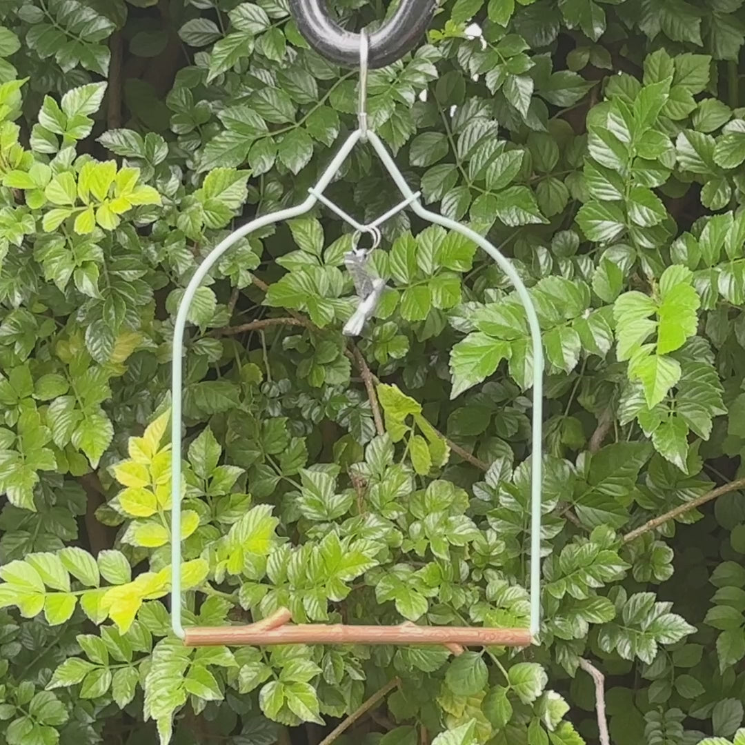 Video: a hummingbird lands on the seafoam-green Vintage Copper Charm Series swing