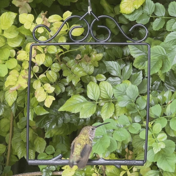 A hummingbird perched on the Onyx Original Series swing, hanging among green leaves