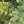 A hummingbird perched on the Onyx Original Series swing, hanging among green leaves