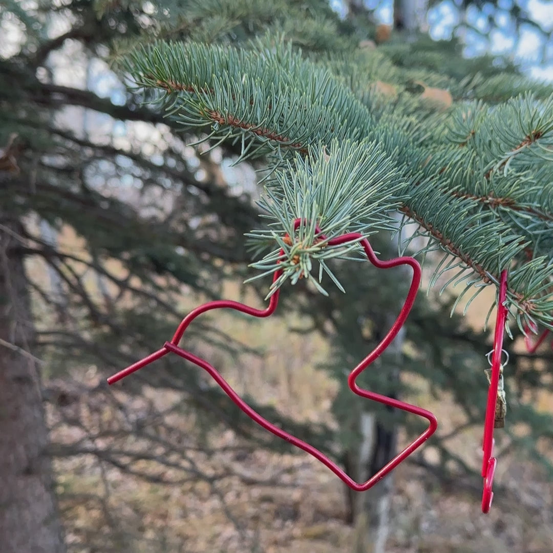 Video: Candy Red hummingbird ornament hanging on an outdoor evergreen tree