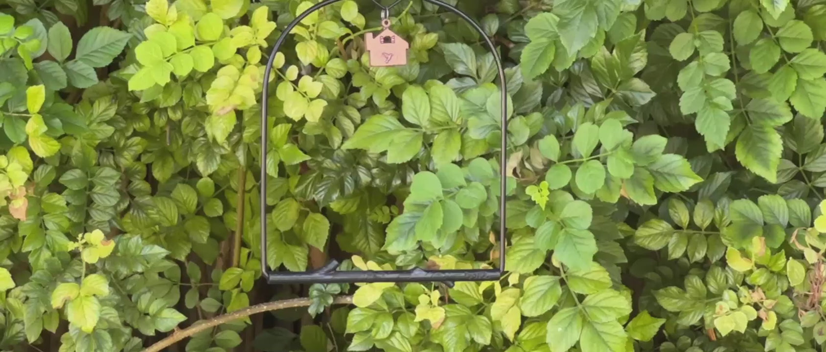 Pops Birding Hummingbird Swing
